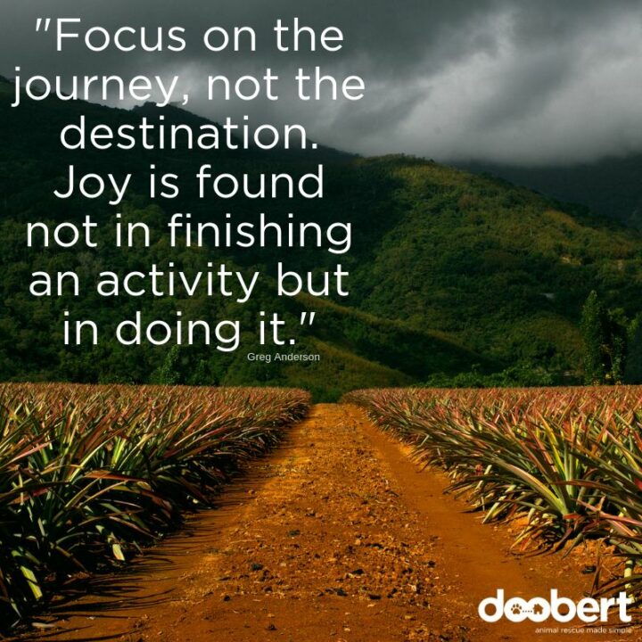"Focus on the journey, not the destination. Joy is found not in finishing an activity but in doing it." - Greg Anderson