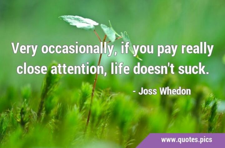 "Very occasionally, if you pay really close attention, life doesn't suck." - Joss Whedon