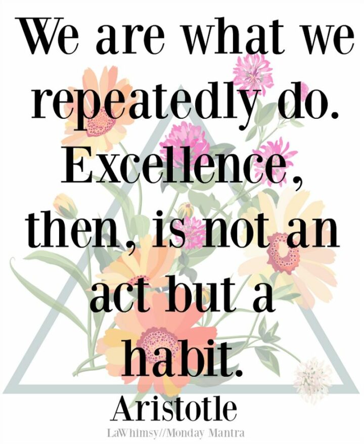 "We are what we repeatedly do. Excellence, then, is not an act but a habit." - Will Durant