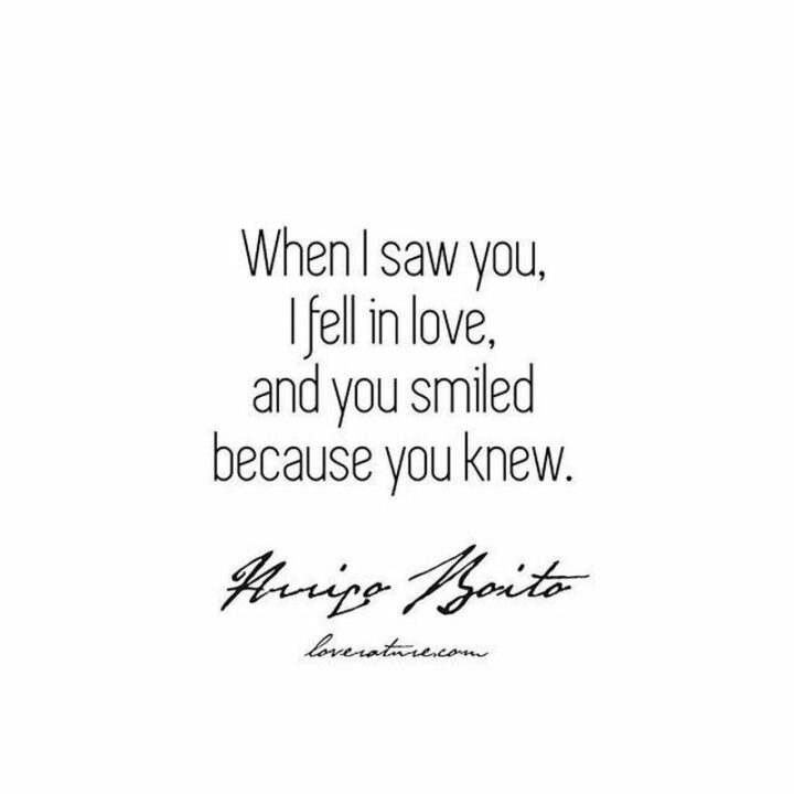 "When I saw you I fell in love, and you smiled because you knew." - Arrigo Boito