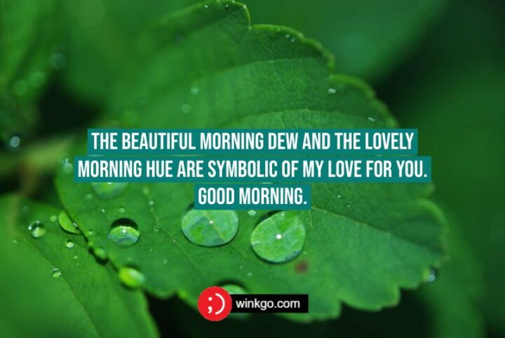 The beautiful morning dew and the lovely morning hue are symbolic of my love for you. Good morning.