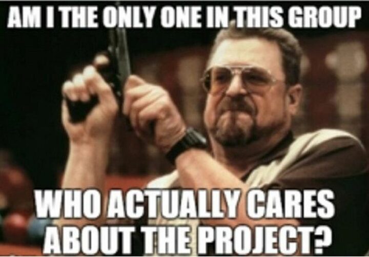 "Am I the only one in this group who actually cares about the project?"