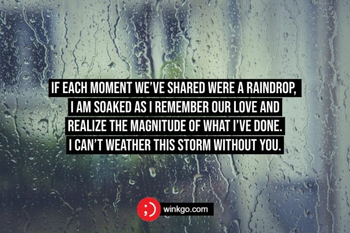 If each moment we’ve shared were a raindrop, I am soaked as I remember our love and realize the magnitude of what I’ve done. I can’t weather this storm without you.