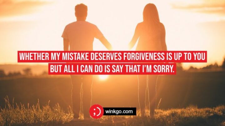 Whether my mistake deserves forgiveness is up to you but all I can do is say that I’m sorry.