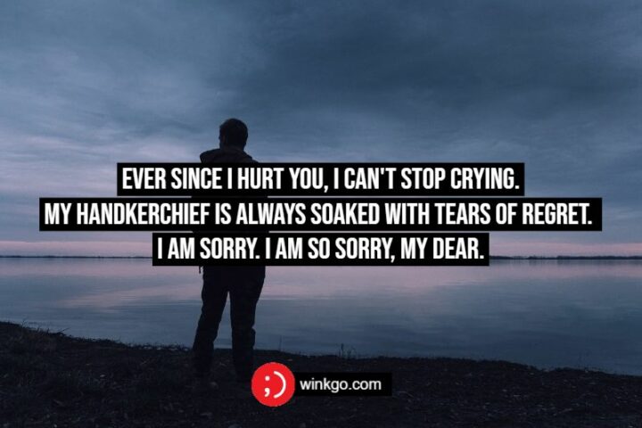 Ever since I hurt you, I can't stop crying. My handkerchief is always soaked with tears of regret. I am sorry. I am so sorry, my dear.