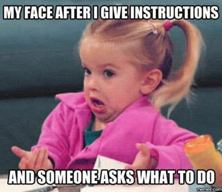 41 Funny I Hate My Job Memes - "My face after I give instructions and someone asks what to do."