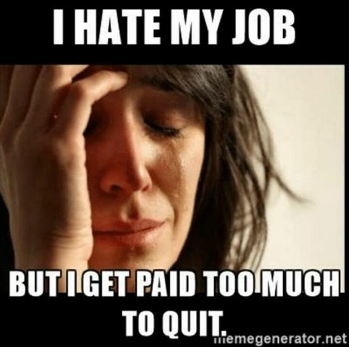 41 Funny I Hate My Job Memes - "I hate my job but I get paid too much to quit."