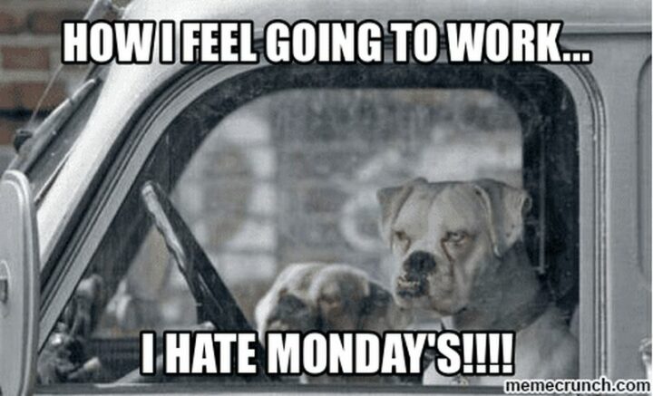 "How I feel going to work...I hate Mondays!!!!"