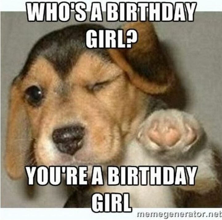 101 Inappropriate Birthday Memes - "Who's a birthday girl? You're a birthday girl."