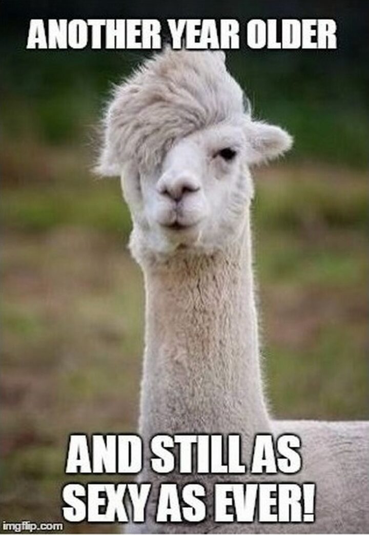 101 Inappropriate Birthday Memes - "Another year older and still as sexy as ever!"