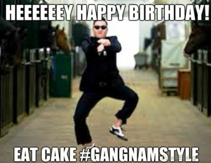101 Inappropriate Birthday Memes - "Hey happy birthday! Eat cake gangnamstyle."