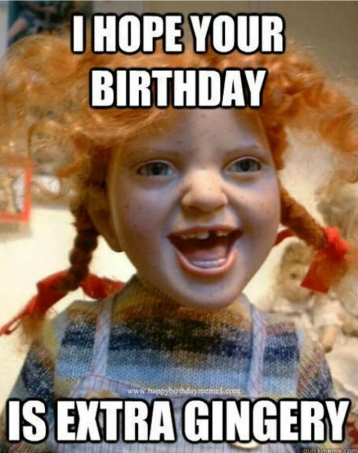101 Inappropriate Birthday Memes - "I hope your birthday is extra gingery."
