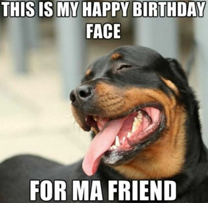 101 Inappropriate Birthday Memes - "This is my happy birthday face for my friend."