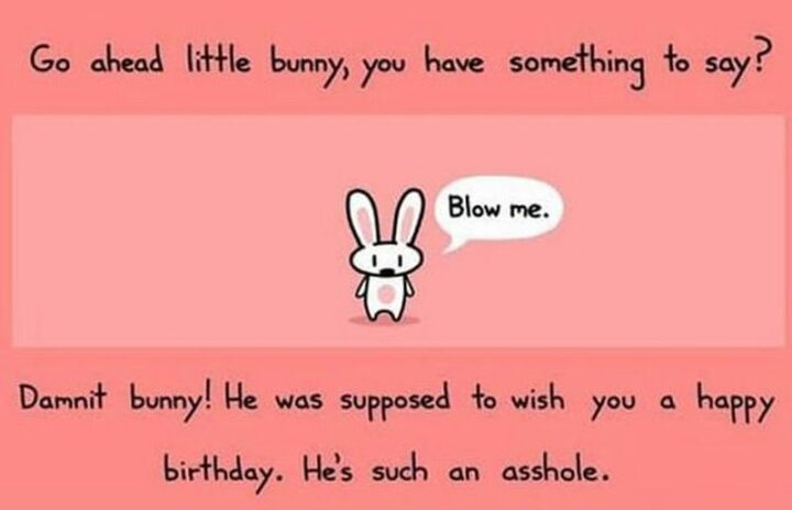 101 Inappropriate Birthday Memes - "Go ahead little bunny, you have something to say? Blow me. Damnit bunny! He was supposed to wish you a happy birthday. He's such an [censored]."