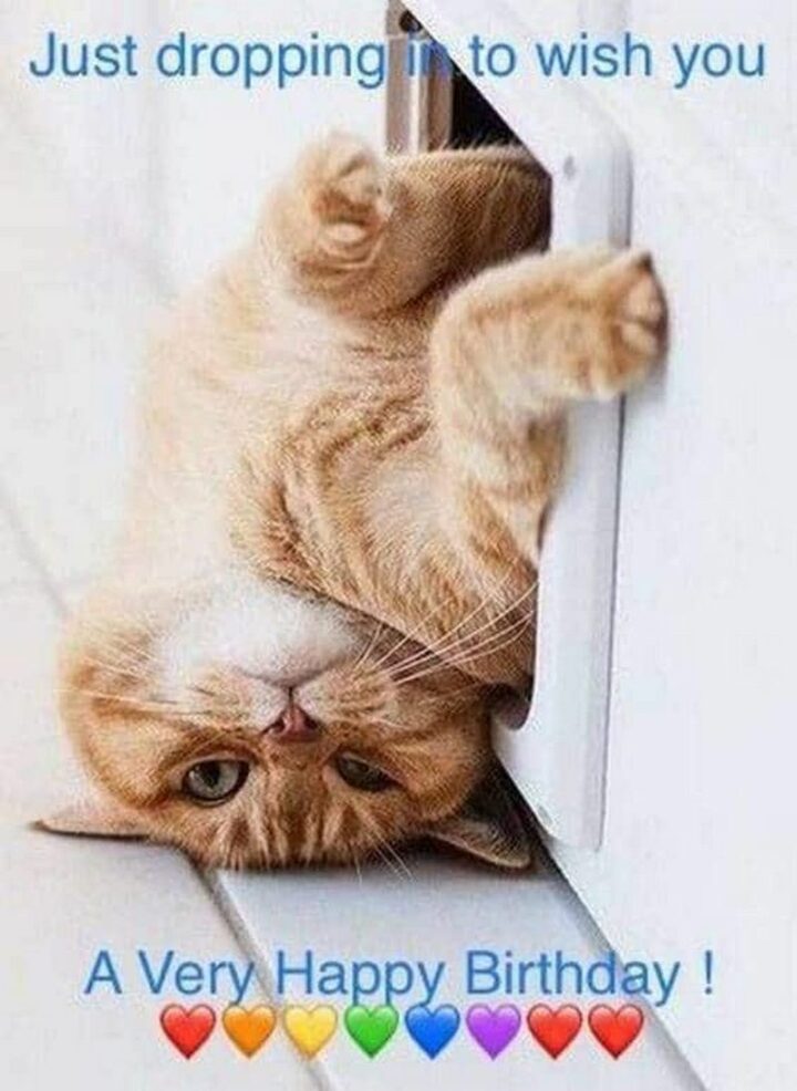 "Just dropping in to wish you a very happy birthday!"