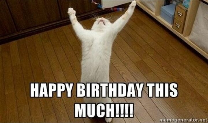 "Happy birthday this much."