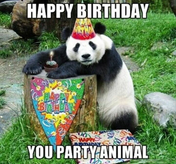"Happy birthday you party animal."