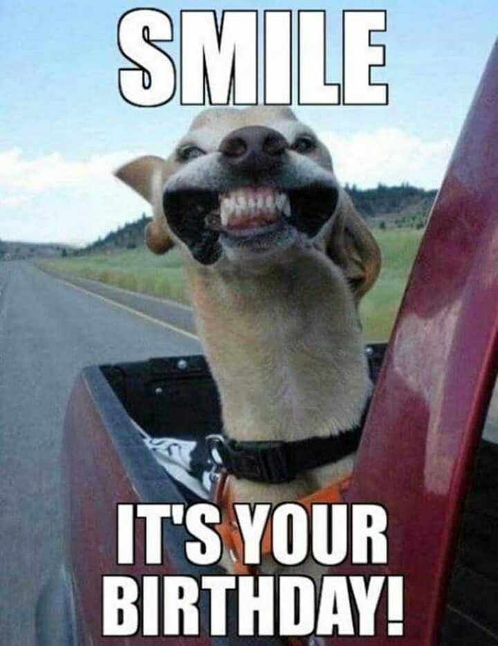 "Smile, it's your birthday!"