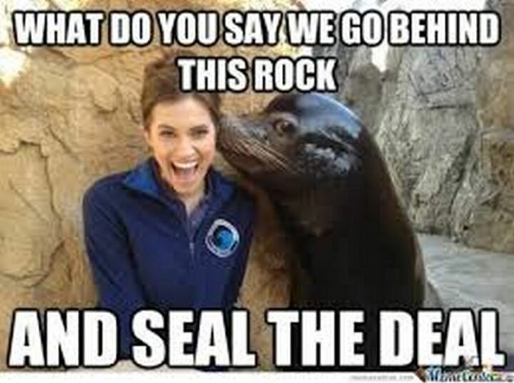 "What do you say we go behind this rock and seal the deal."
