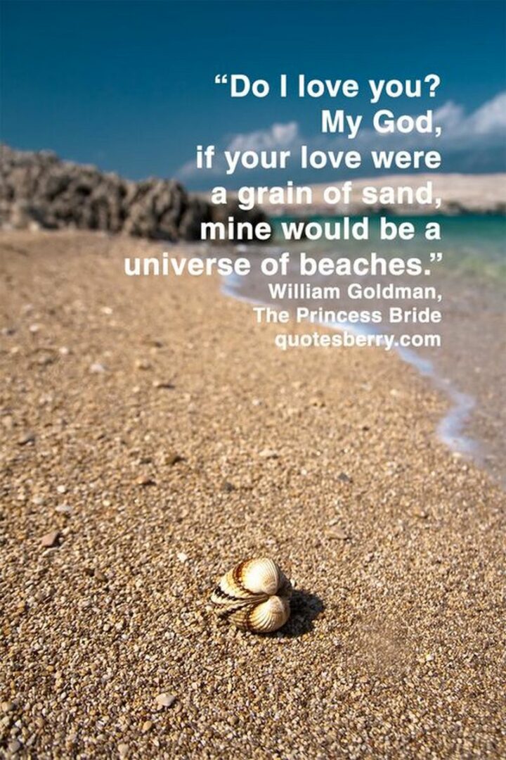 43 Loving a Woman Quotes - "Do I love you? My God, if your love were a grain of sand, mine would be a universe of beaches." - William Goldman, The Princess Bride