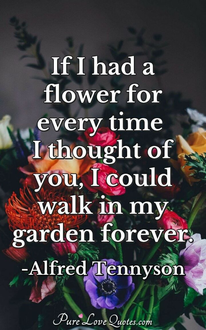 43 Loving a Woman Quotes - "If I had a flower for every time I thought of you, I could walk in my garden forever." - Alfred Tennyson