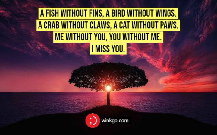 45 Romantic Missing You Messages - A fish without fins, a bird without wings. A crab without claws, a cat without paws. Me without you, you without me. I miss you.
