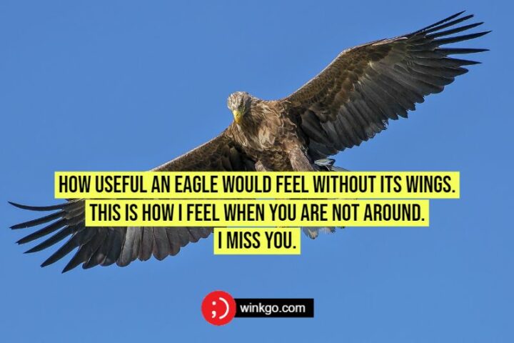 How useful an eagle would feel without its wings. This is how I feel when you are not around. I miss you.