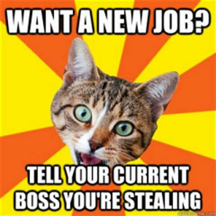 "Want a new job? Tell your current boss you're stealing."