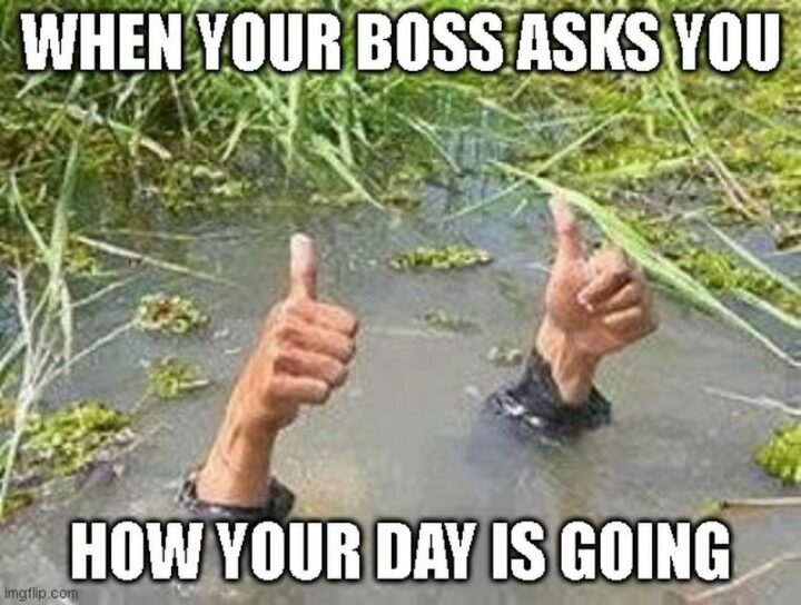 61 Funny Overworked Memes - "When your boss asks you how your day is going."