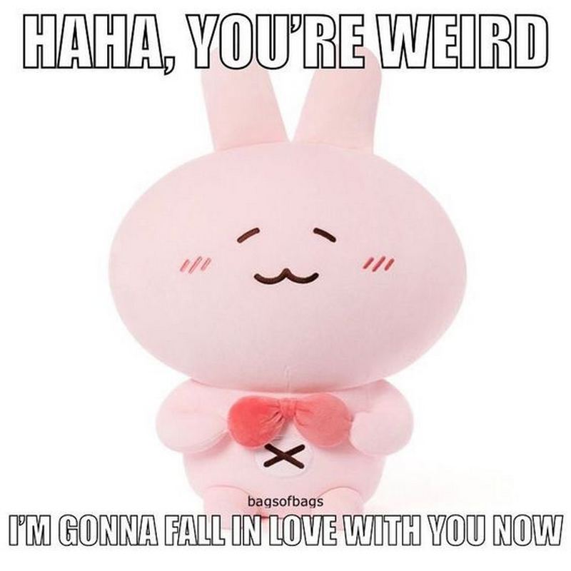 55 Cute Wholesome Memes Filled With Love