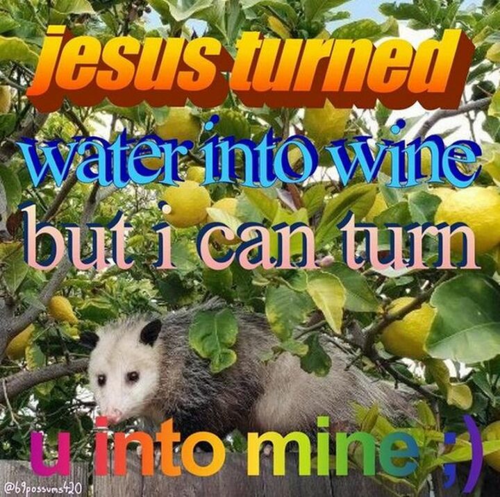"Jesus turned water into wine but I can turn u into mine."