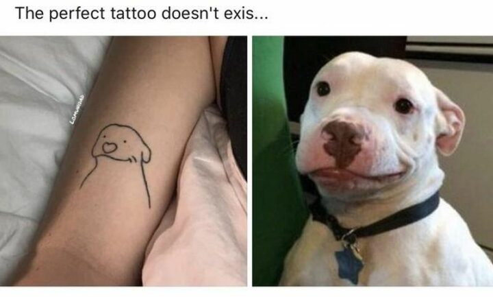 "The perfect tattoo doesn't exis..."