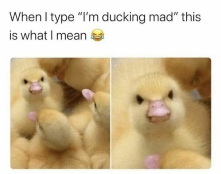 "When I type "I'm ducking mad" this is what I mean."
