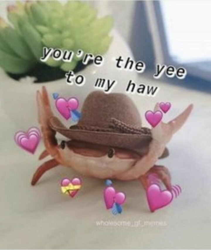 "You're the yee to my haw."