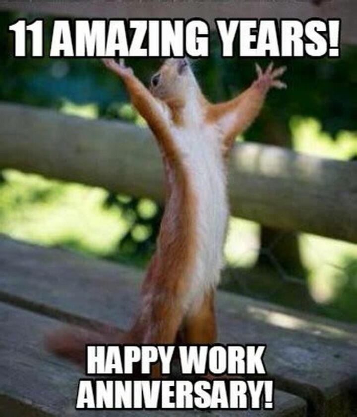 "11 amazing years! Happy work anniversary!"