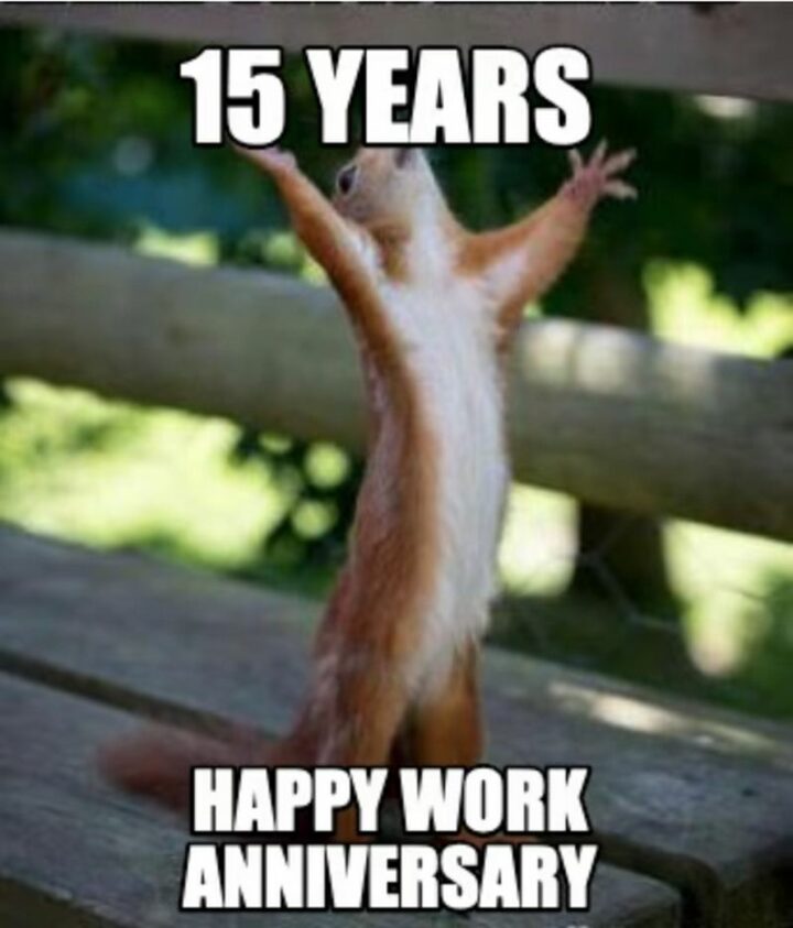 "15 years. Happy work anniversary."