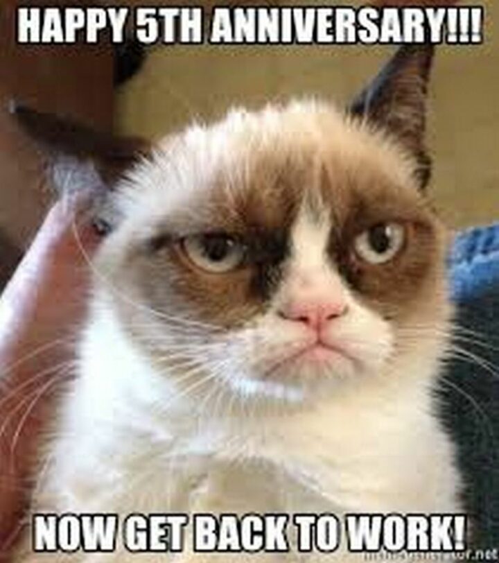 "Happy 5th anniversary! Now get back to work."