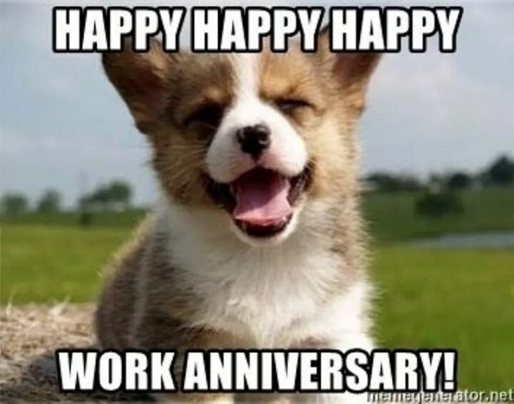 "Happy, happy, happy work anniversary!"