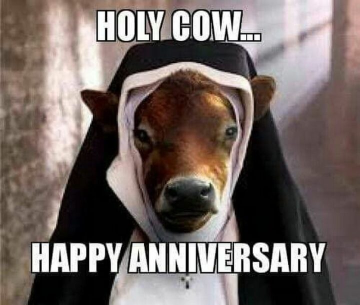 "Holy cow, happy anniversary."