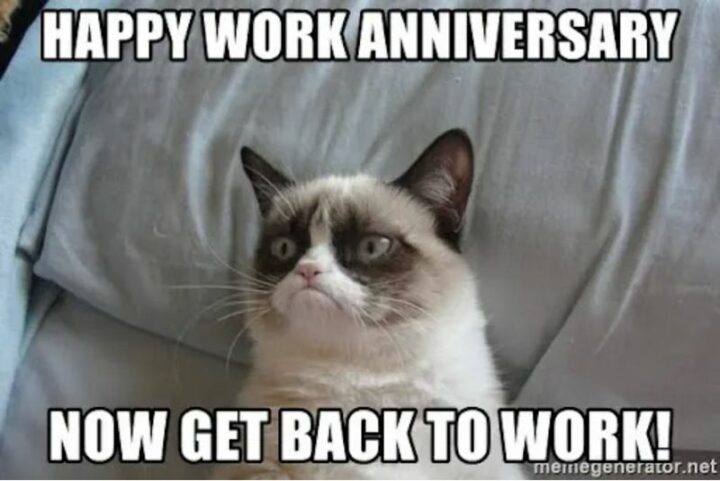 "Happy work anniversary. Now get back to work!"