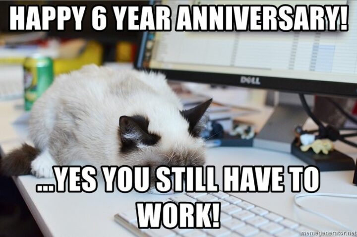 "Happy 6 year anniversary! Yes, you still have to work!"