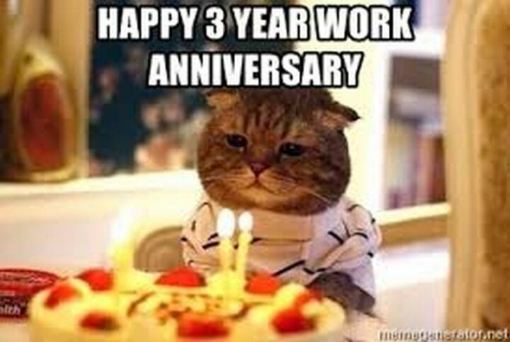 "Happy 3 year work anniversary."