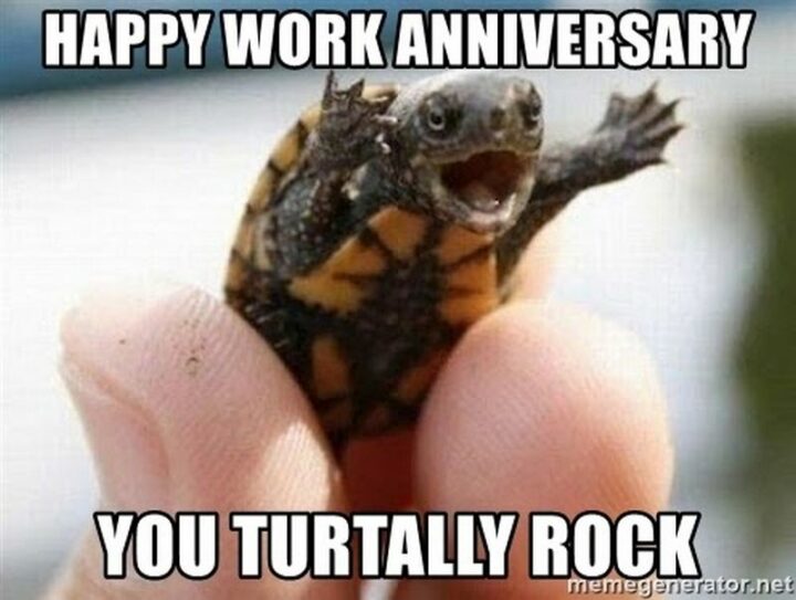 "Happy work anniversary. You totally rock."
