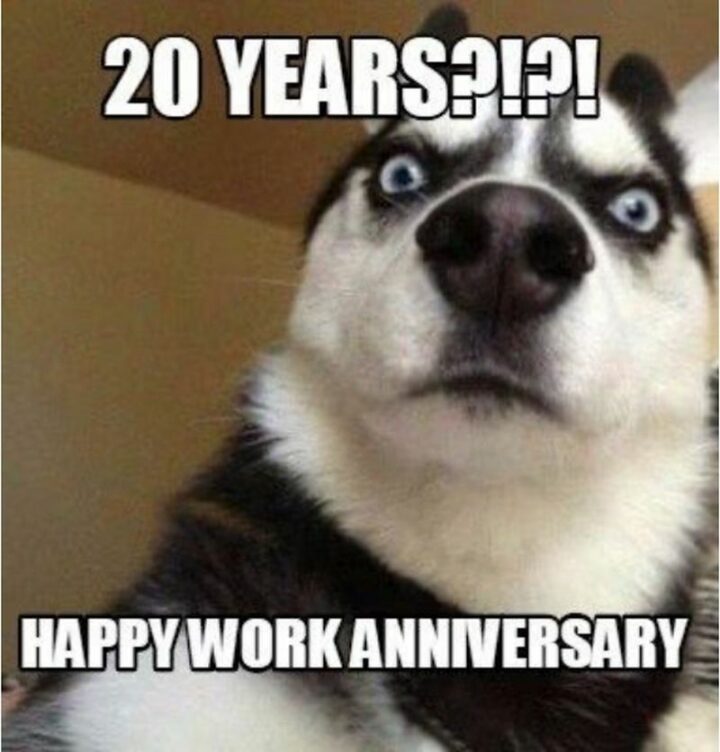 "20 years?!?! Happy work anniversary."