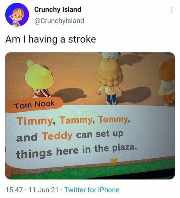 "Am I having a stroke: Timmy, Tammy, Tommy, and Teddy can set up things here in the plaza."