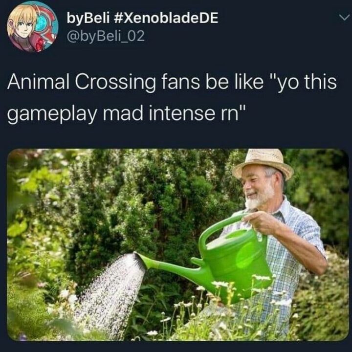 "Animal Crossing fans be like 'Yo this gameplay mad intense right now'."