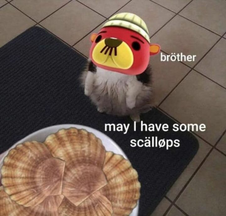 "Brother. May I have some scallops."