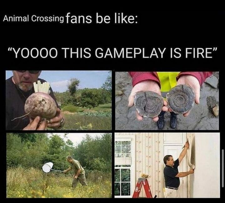 "Animal Crossing fans be like: Yoooo this gameplay is fire."