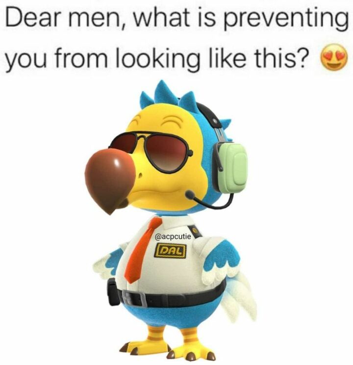 "Dear men, what is preventing you from looking like this in Animal Crossing?"