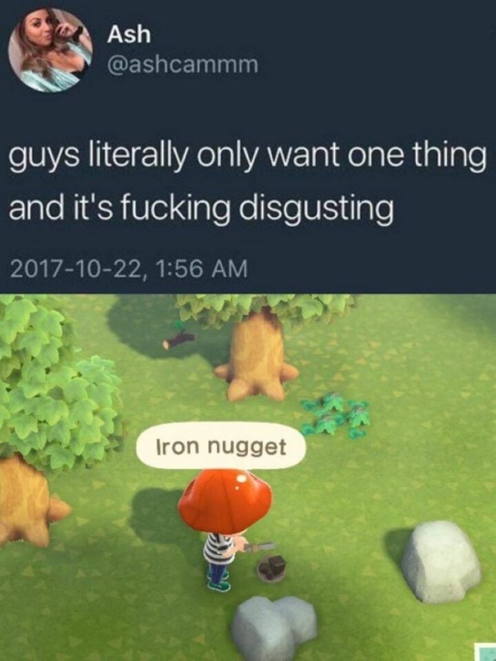 "Guys literally only want one thing in Animal Crossing and it's [censored] disgusting: Iron nugget."
